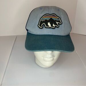 Patagonia Fitz Roy Bear Trucker Hat Blue Mesh Snapback Cap